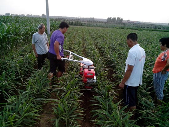 大姜開溝培土機
